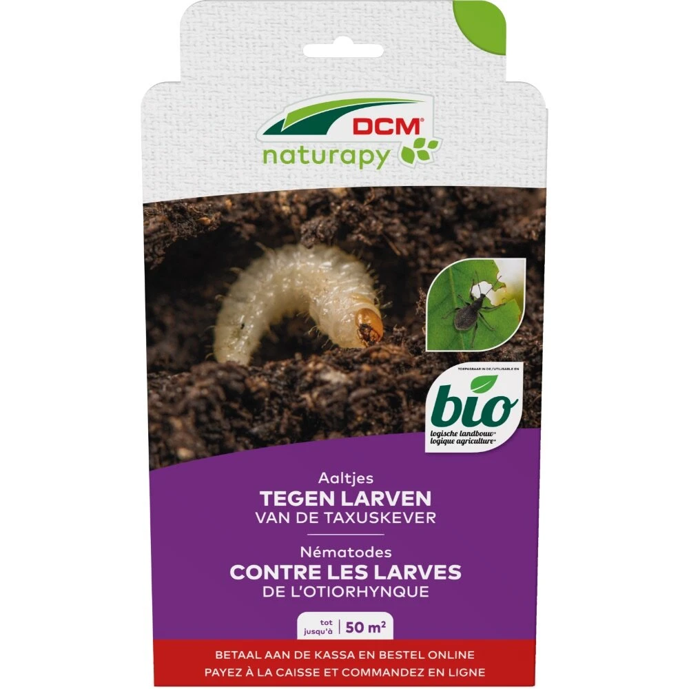 DCM Aaltjes Tegen Larven Van De Taxuskever (Kraussi-Guard®) - Bestelcode - 50 M² (25 Mio. Aaltjes) 3 DCM Aaltjes Tegen Larven Van De Taxuskever (Kraussi-Guard®) - Bestelcode - 50 M² (25 Mio. Aaltjes)