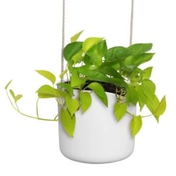 Elho B.for Swing 18 Cm Wit -Gardena Winkel elho b for swing 18 cm wit 1000x1000 64aebb3f9a17d l