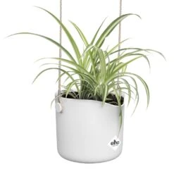 Elho B.for Swing 18 Cm Wit -Gardena Winkel elho b for swing 18 cm wit 1000x1000 64aebb3fd475e l