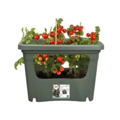Elho Plantenbak Green Basics Stack & Grow Large Groen 8 Elho Plantenbak Green Basics Stack & Grow Large Groen -Gardena Winkel elho plantenbak green basics stack grow large groen 800x800 620e3d4de4622 l