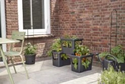 Elho Plantenbak Green Basics Stack & Grow Large Zwart -Gardena Winkel elho plantenbak green basics stack grow large zwart 800x534 620e3d4fc59c1 l