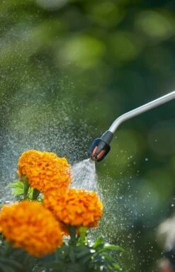 GARDENA Drukspuit 5 L -Gardena Winkel gardena drukspuit 5 l 1619704865 1 l