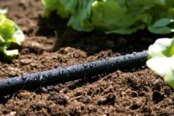 GARDENA Duizenddruppelslang 15m -Gardena Winkel gardena duizenddruppelslang 15m 1619704664 1 l