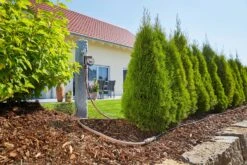 GARDENA Micro-Drip-System Startset M 25m Autom. Rijplanten -Gardena Winkel gardena startset m 25m autom 1500x1000 640af4f6bb51a l