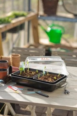Nature Kweekkas Verwarmd 38x24cm 10 Nature Kweekkas Verwarmd 38x24cm -Gardena Winkel nature kweekkas verwarmd 38x24cm 534x800 6214a026e40ab l
