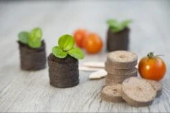 Nature Turftabletten 48st 8 Nature Turftabletten 48st -Gardena Winkel nature turftabletten 48st 800x532 6214a01453d91 l