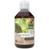 Pokon Bio Plantkuur Bladinsectgevoelige Planten Concentraat 500ml -Gardena Winkel pokon bio plantkuur bladinsecten 500ml 1614005885 l