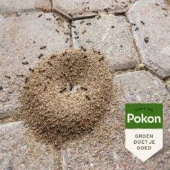Pokon Tegen Mieren Korrels 400gr -Gardena Winkel pokon tegen mieren korrels 400gr 1000x1000 6221fb52c5ede l