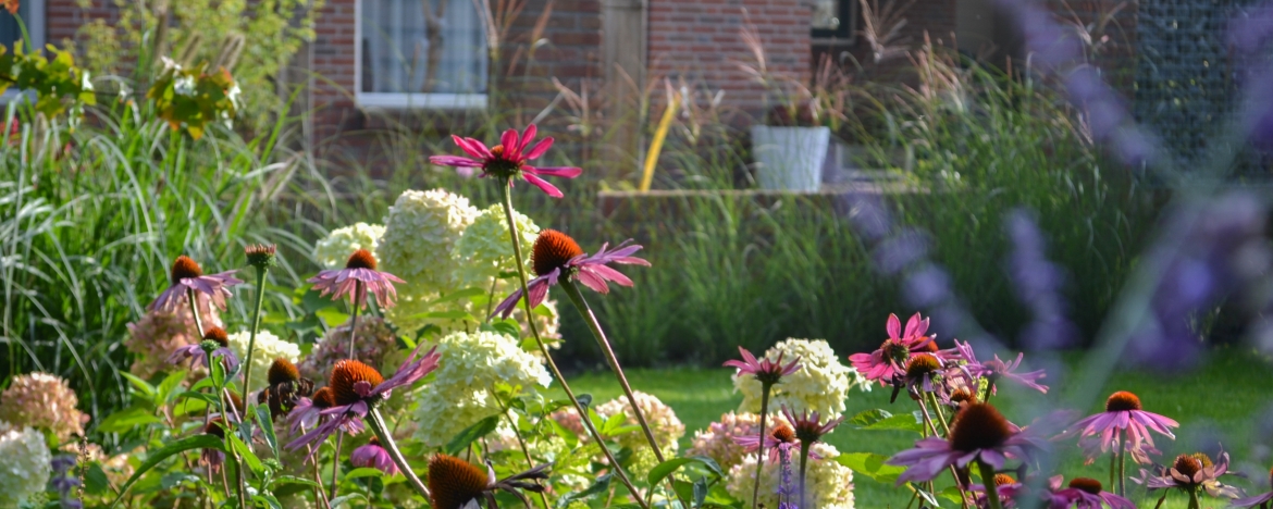 Gardena Winkel -Gardena Winkel moderne tuin mecklenfeld tuinen beplanting planten beplantingsplan hortensia 1170x468 1